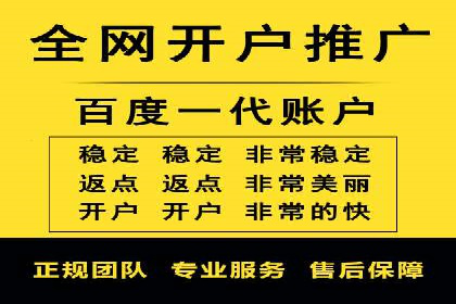 SEM代理案例：揭秘成功背后的秘密